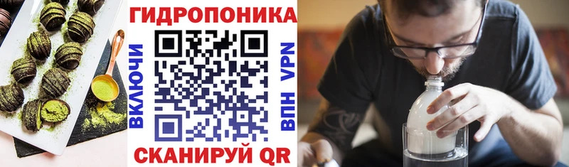 Cannafood конопля  цена   KRAKEN вход  Новороссийск 