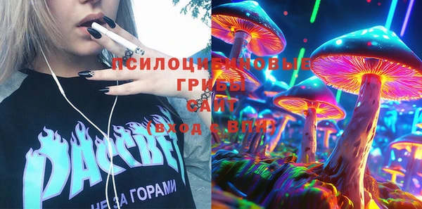 круглые Алзамай