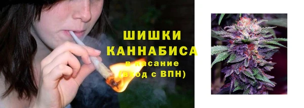 мдпв Навашино