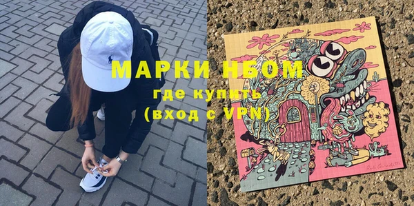 СК Алексин