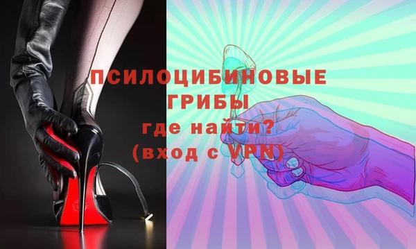 СК Алексин