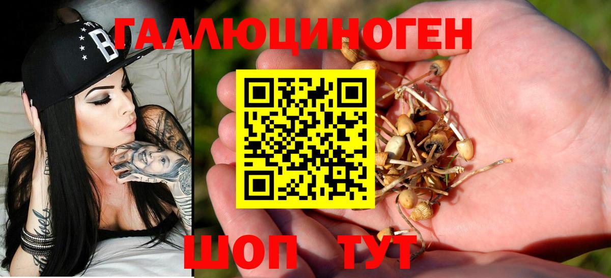 Новороссийск  Псилоцибиновые грибы ЛСД  Вход с VPN 